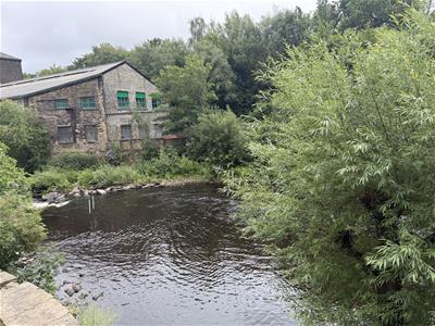 Picture 12